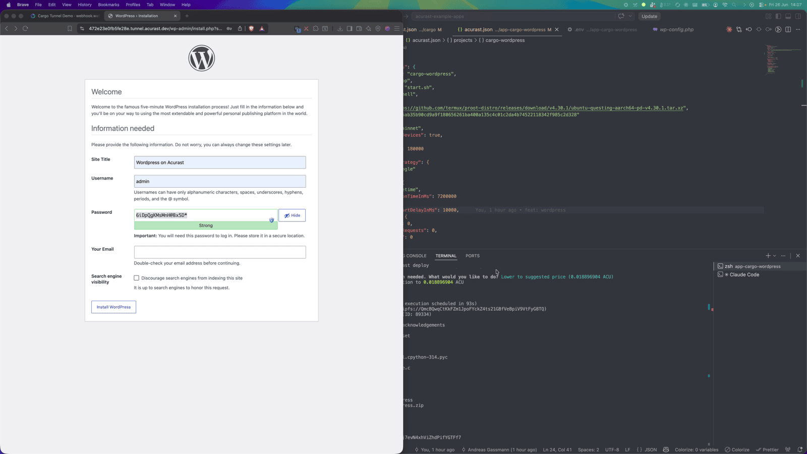 Filling in the WordPress setup form